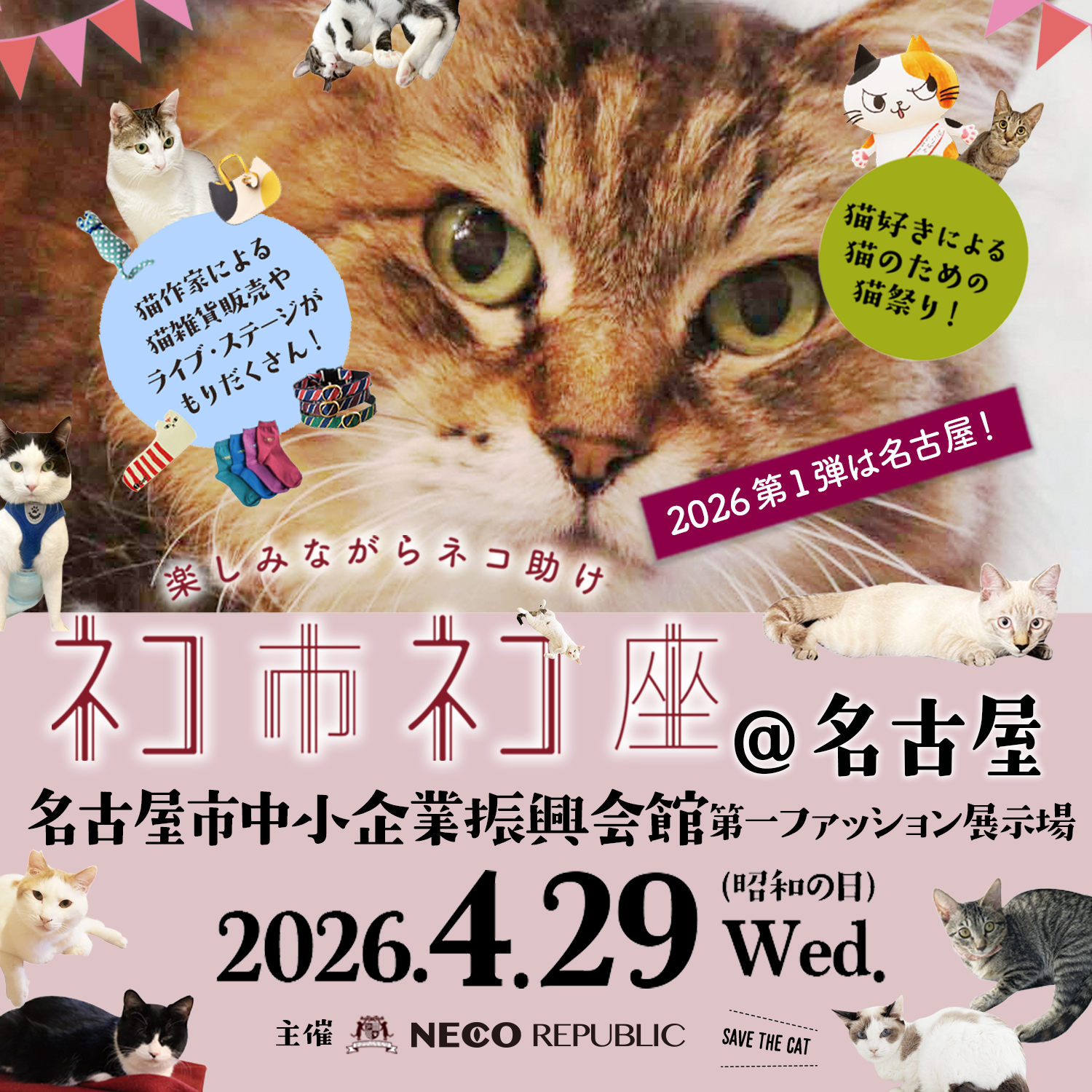 2026年ネコ市ネコ座 第一弾は名古屋で開催！ - ネコ市ネコ座 〜保護猫
