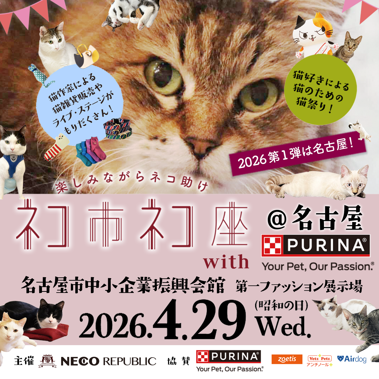 2026年ネコ市ネコ座 第一弾は名古屋で開催！ | ネコ市ネコ座 〜猫が